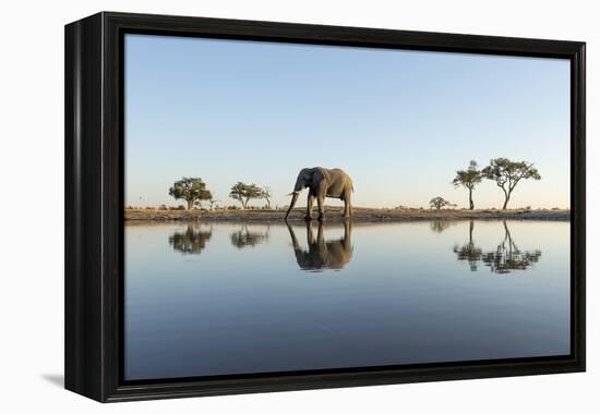 Botswana, Chobe NP, African Elephant at Water Hole in Savuti Marsh-Paul Souders-Framed Premier Image Canvas