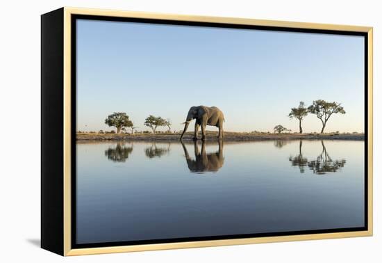 Botswana, Chobe NP, African Elephant at Water Hole in Savuti Marsh-Paul Souders-Framed Premier Image Canvas