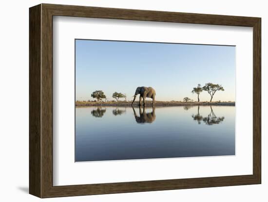 Botswana, Chobe NP, African Elephant at Water Hole in Savuti Marsh-Paul Souders-Framed Photographic Print