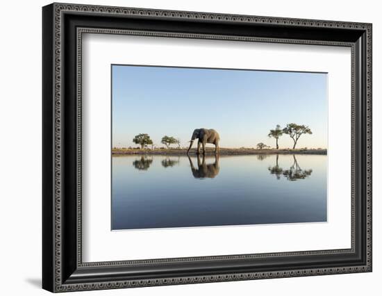 Botswana, Chobe NP, African Elephant at Water Hole in Savuti Marsh-Paul Souders-Framed Photographic Print