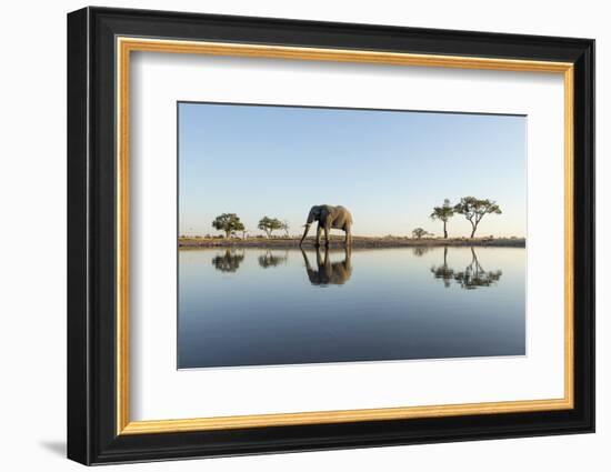 Botswana, Chobe NP, African Elephant at Water Hole in Savuti Marsh-Paul Souders-Framed Photographic Print