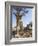 Botswana, Chobe NP, Lion Cub Approaching Remote Camera in Savuti Marsh-Paul Souders-Framed Photographic Print