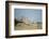 Botswana, Chobe NP, Lioness and Cubs Climbing on Acacia Tree-Paul Souders-Framed Photographic Print