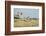 Botswana, Chobe NP, Lioness and Cubs Climbing on Acacia Tree-Paul Souders-Framed Photographic Print