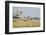 Botswana, Chobe NP, Lioness and Cubs Climbing on Acacia Tree-Paul Souders-Framed Photographic Print