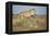 Botswana, Chobe NP, Lioness and Young Cubs Standing on Termite Mound-Paul Souders-Framed Premier Image Canvas