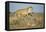 Botswana, Chobe NP, Lioness and Young Cubs Standing on Termite Mound-Paul Souders-Framed Premier Image Canvas