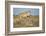 Botswana, Chobe NP, Lioness and Young Cubs Standing on Termite Mound-Paul Souders-Framed Photographic Print