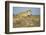 Botswana, Chobe NP, Lioness and Young Cubs Standing on Termite Mound-Paul Souders-Framed Photographic Print