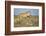 Botswana, Chobe NP, Lioness and Young Cubs Standing on Termite Mound-Paul Souders-Framed Photographic Print