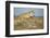 Botswana, Chobe NP, Lioness and Young Cubs Standing on Termite Mound-Paul Souders-Framed Photographic Print