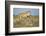 Botswana, Chobe NP, Lioness and Young Cubs Standing on Termite Mound-Paul Souders-Framed Photographic Print