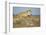 Botswana, Chobe NP, Lioness and Young Cubs Standing on Termite Mound-Paul Souders-Framed Photographic Print