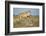 Botswana, Chobe NP, Lioness and Young Cubs Standing on Termite Mound-Paul Souders-Framed Photographic Print