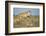 Botswana, Chobe NP, Lioness and Young Cubs Standing on Termite Mound-Paul Souders-Framed Photographic Print