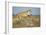 Botswana, Chobe NP, Lioness and Young Cubs Standing on Termite Mound-Paul Souders-Framed Photographic Print