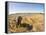 Botswana, Moremi Game Reserve, Elephant in Wetlands of Okavango Delta-Paul Souders-Framed Premier Image Canvas