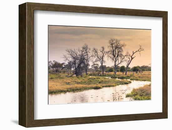 Botswana. Okavango Delta. Khwai Concession. a Small Stream at Sunrise-Inger Hogstrom-Framed Photographic Print