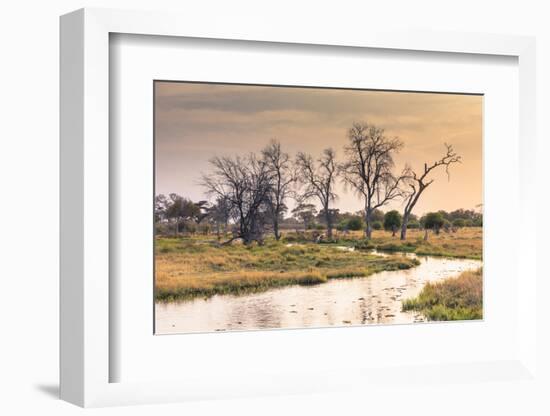 Botswana. Okavango Delta. Khwai Concession. a Small Stream at Sunrise-Inger Hogstrom-Framed Photographic Print