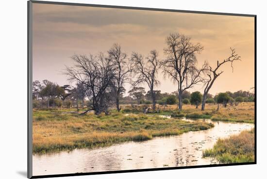 Botswana. Okavango Delta. Khwai Concession. a Small Stream at Sunrise-Inger Hogstrom-Mounted Photographic Print