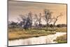 Botswana. Okavango Delta. Khwai Concession. a Small Stream at Sunrise-Inger Hogstrom-Mounted Photographic Print