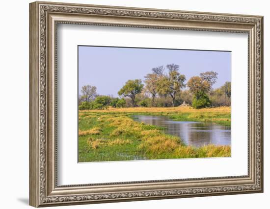 Botswana. Okavango Delta. Khwai Concession. Riparian Forest-Inger Hogstrom-Framed Photographic Print