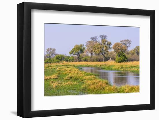 Botswana. Okavango Delta. Khwai Concession. Riparian Forest-Inger Hogstrom-Framed Photographic Print