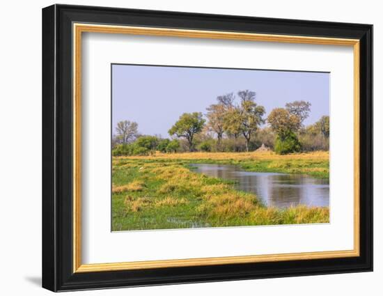 Botswana. Okavango Delta. Khwai Concession. Riparian Forest-Inger Hogstrom-Framed Photographic Print
