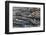 Botswana. Okavango Delta. Khwai Concession. Young Female Leopard Resting under a Log-Inger Hogstrom-Framed Photographic Print