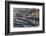 Botswana. Okavango Delta. Khwai Concession. Young Female Leopard Resting under a Log-Inger Hogstrom-Framed Photographic Print