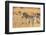 Botswana. Okavango Delta. Khwai Concession-Inger Hogstrom-Framed Photographic Print