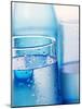 Bottle and glasses of water-null-Mounted Photographic Print