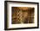 Bottle Cellar at Garrison Creek Cellars, Walla Walla, Washington, USA-Richard Duval-Framed Photographic Print