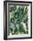 Bottle Glass Garden II-June Vess-Framed Art Print