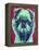 Bottle Green Brussels Griffon-Dawgart-Framed Premier Image Canvas