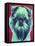 Bottle Green Brussels Griffon-Dawgart-Framed Premier Image Canvas