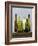 Bottle Green-Mark Chandon-Framed Giclee Print