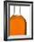 Bottle of Whisky-null-Framed Photographic Print