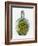 Bottled Dragon-Wayne Anderson-Framed Giclee Print