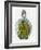 Bottled Dragon-Wayne Anderson-Framed Giclee Print