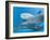 Bottlenose Dolphin Female and Her Calf-Augusto Leandro Stanzani-Framed Photographic Print