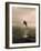 Bottlenose Dolphin Jumping Out of Water-Stuart Westmorland-Framed Photographic Print