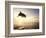 Bottlenose Dolphin Jumping Out of Water-Stuart Westmorland-Framed Photographic Print