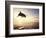 Bottlenose Dolphin Jumping Out of Water-Stuart Westmorland-Framed Photographic Print