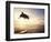 Bottlenose Dolphin Jumping Out of Water-Stuart Westmorland-Framed Photographic Print