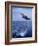 Bottlenose Dolphin Jumping-Stuart Westmorland-Framed Photographic Print