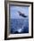 Bottlenose Dolphin Jumping-Stuart Westmorland-Framed Photographic Print