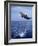 Bottlenose Dolphin Jumping-Stuart Westmorland-Framed Photographic Print