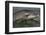 Bottlenose Dolphin (Tursiops Truncatus) Reflected At The Surface, Sado Estuary, Portugal-Pedro Narra-Framed Photographic Print