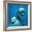 Bottlenose Dolphin Two Facing Camera-Augusto Leandro Stanzani-Framed Photographic Print